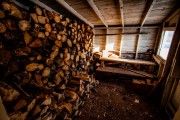 Wood Pile