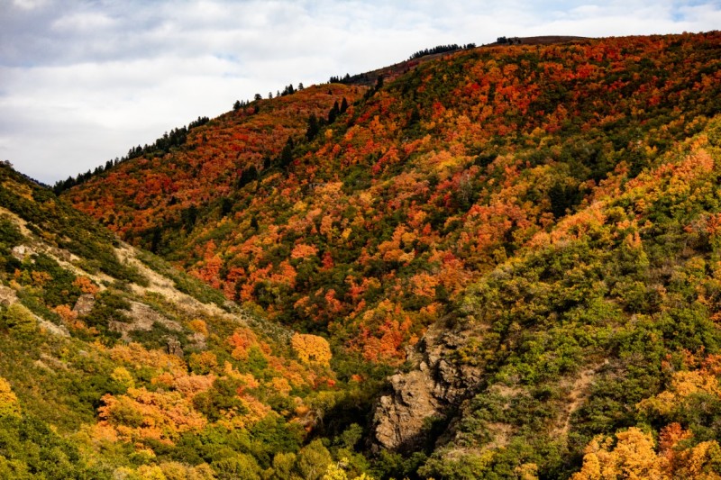 Fall Canyons