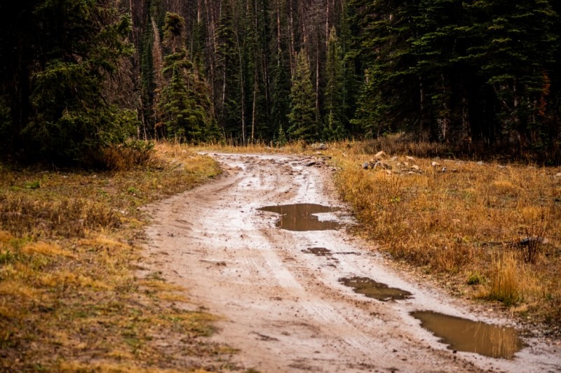 Muddy Mountain Roads-