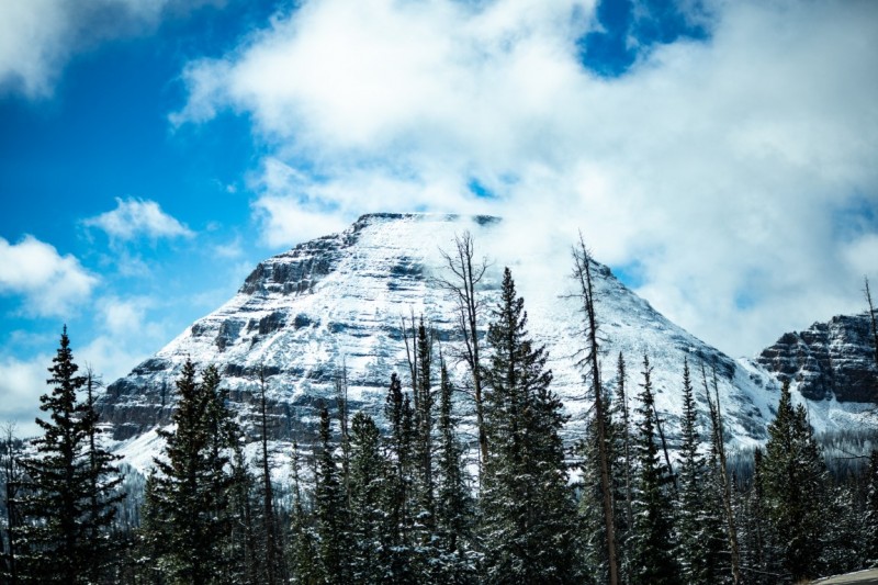 Snowy Peaks