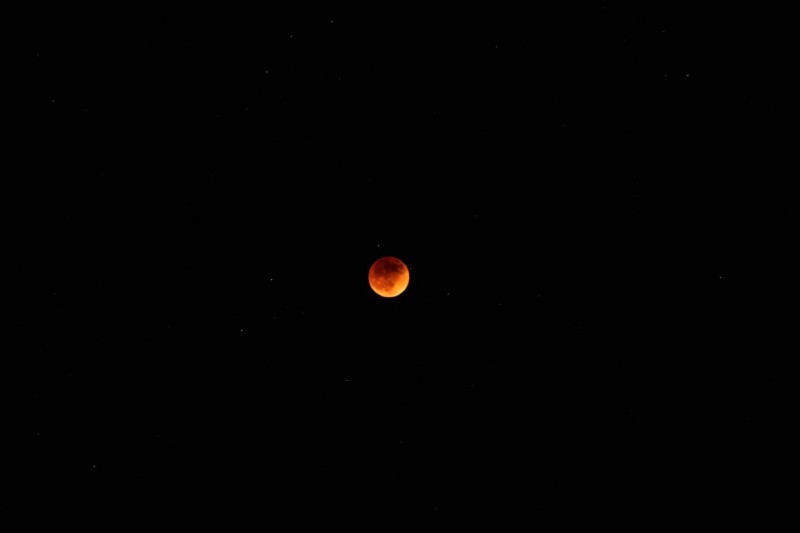 Blood Moon Eclipse