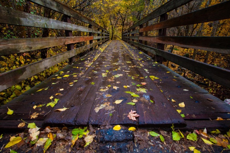 Bridge Wandered